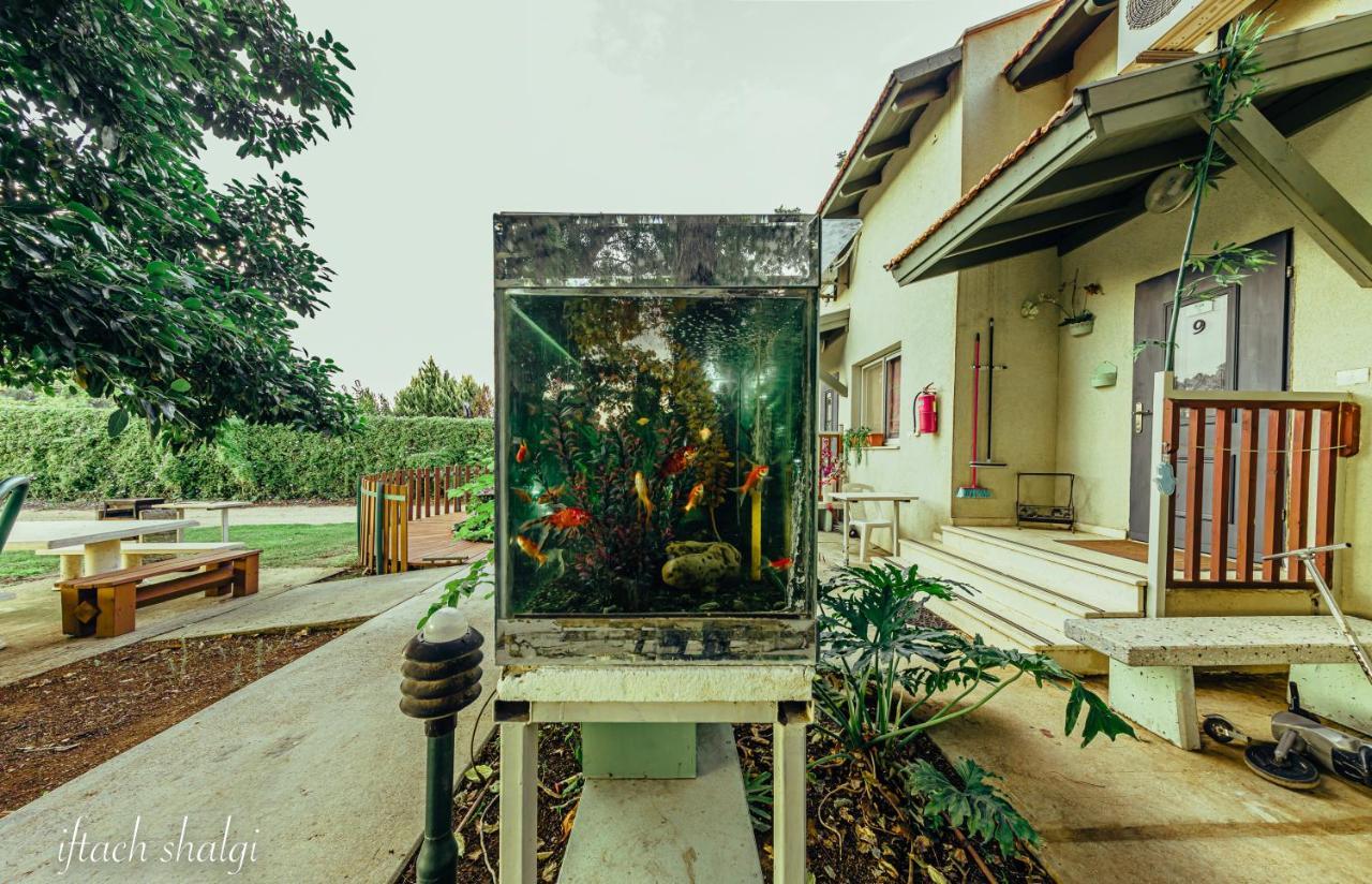 Nuriel Fruit & Guest House Шеар-Яшув Экстерьер фото
